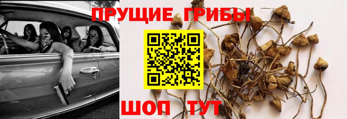 Галлюциногенные грибы MAGIC MUSHROOMS Нефтекумск