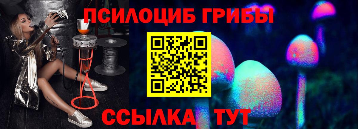 Нефтекумск  Псилоцибиновые грибы прущие грибы  где продают наркотики  Вход с VPN 