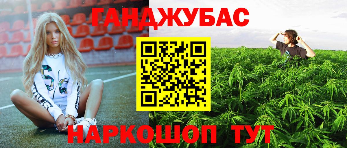 Каннабис индика Нефтекумск
